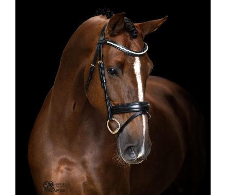 Uzdečka Imperial Riding -IRH2-