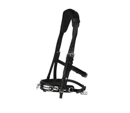 Lonžovací obnosek Horze -CAVESSON LEATHER-