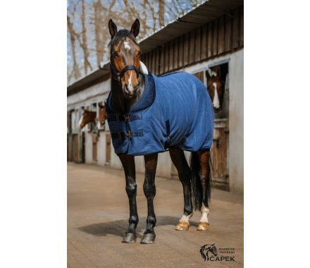 Odpocovací deka EquiTheme-CONFORTECH-